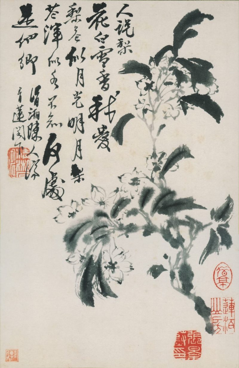 花鸟图册