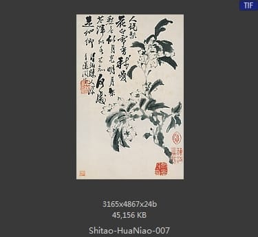 石涛-花鸟图册