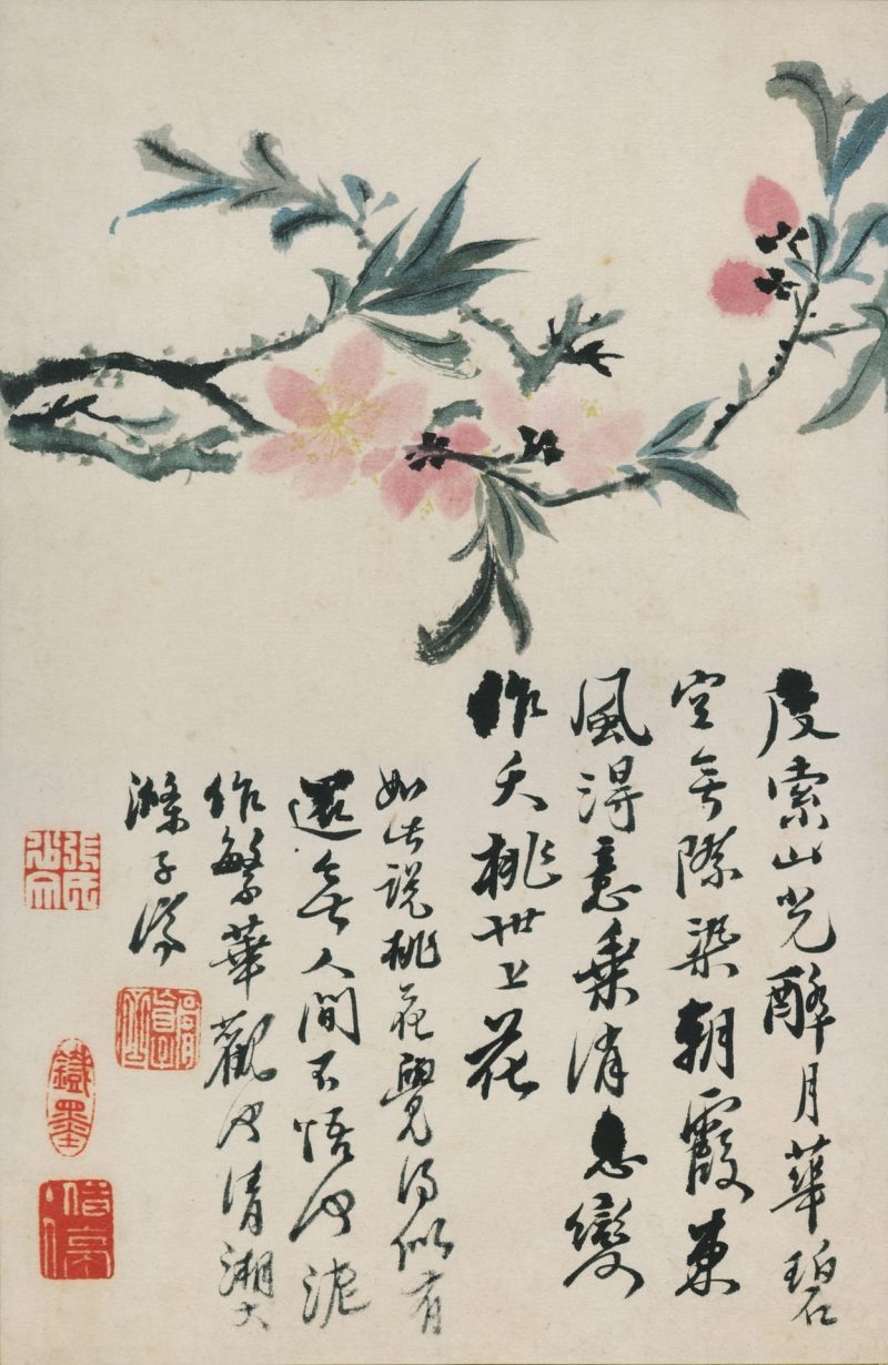 花鸟图册