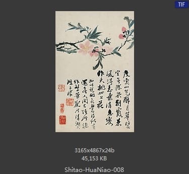 石涛-花鸟图册