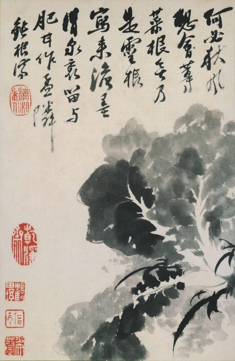 花鸟图册