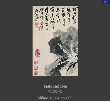 石涛-花鸟图册
