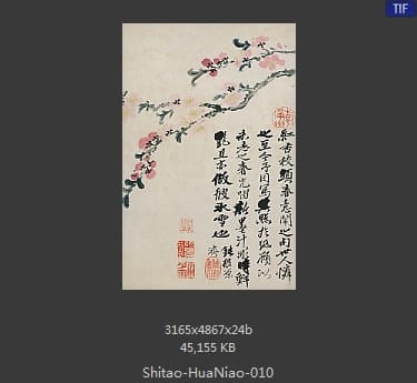 石涛-花鸟图册