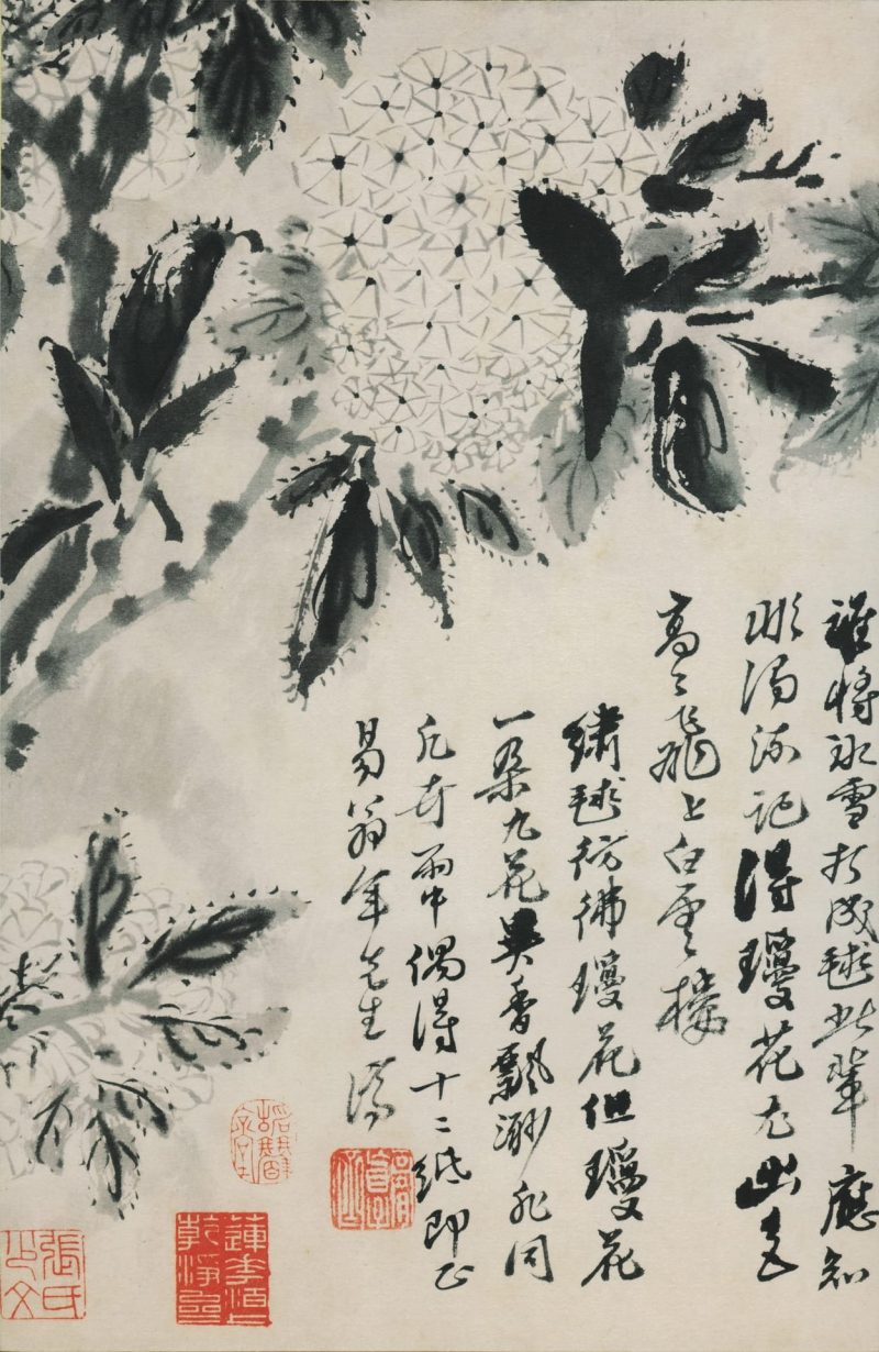 花鸟图册