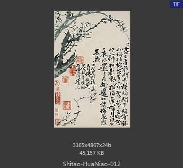 石涛-花鸟图册