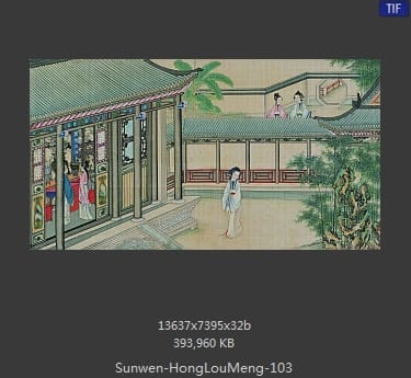 孙温-红楼梦