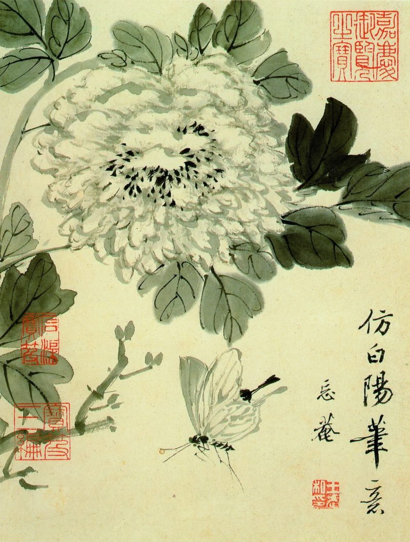 花卉册