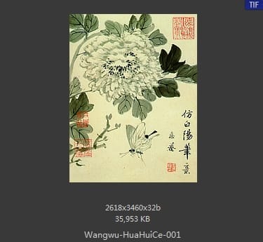 王武-花卉册