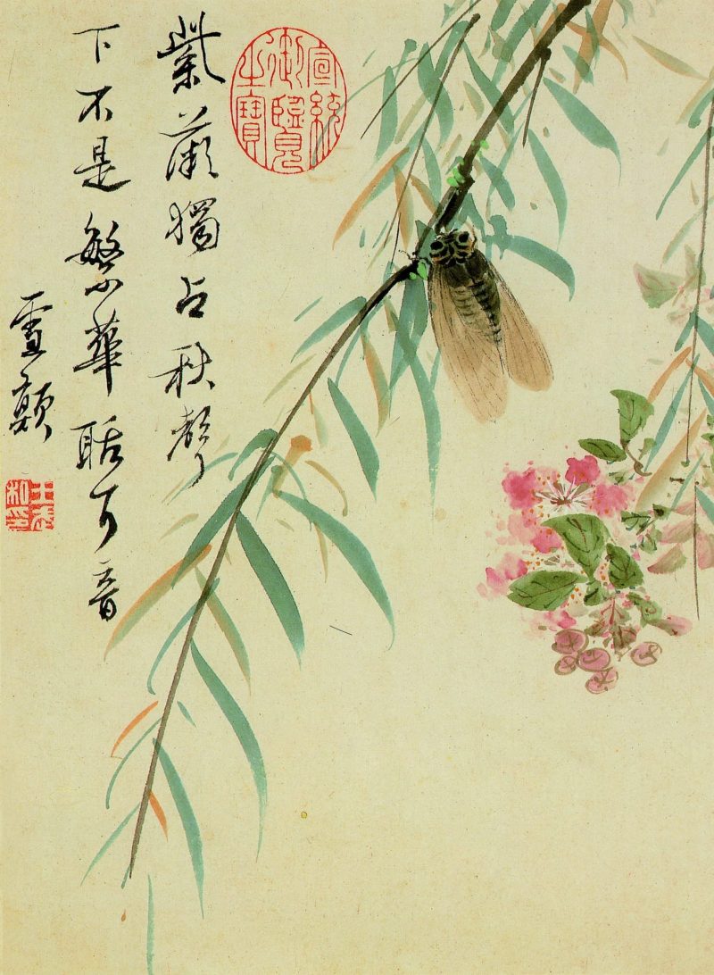 花卉册