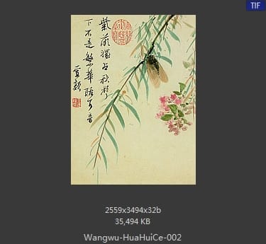 王武-花卉册