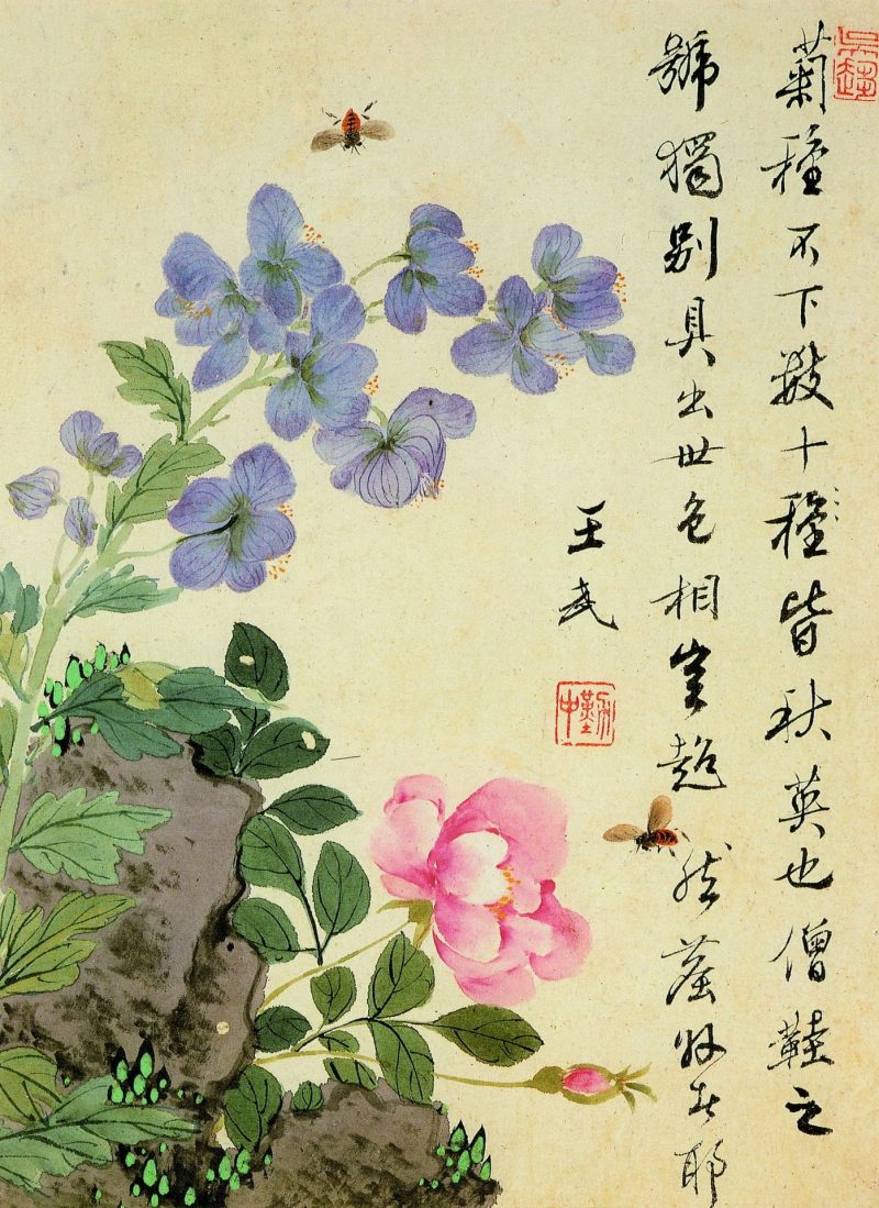 花卉册