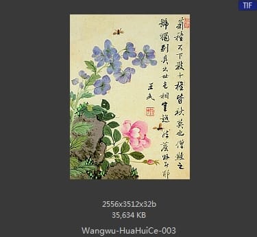 王武-花卉册
