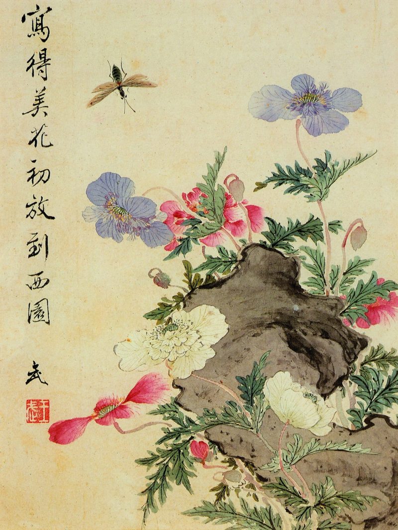 花卉册