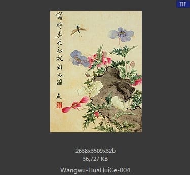 王武-花卉册