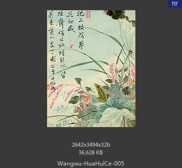 王武-花卉册