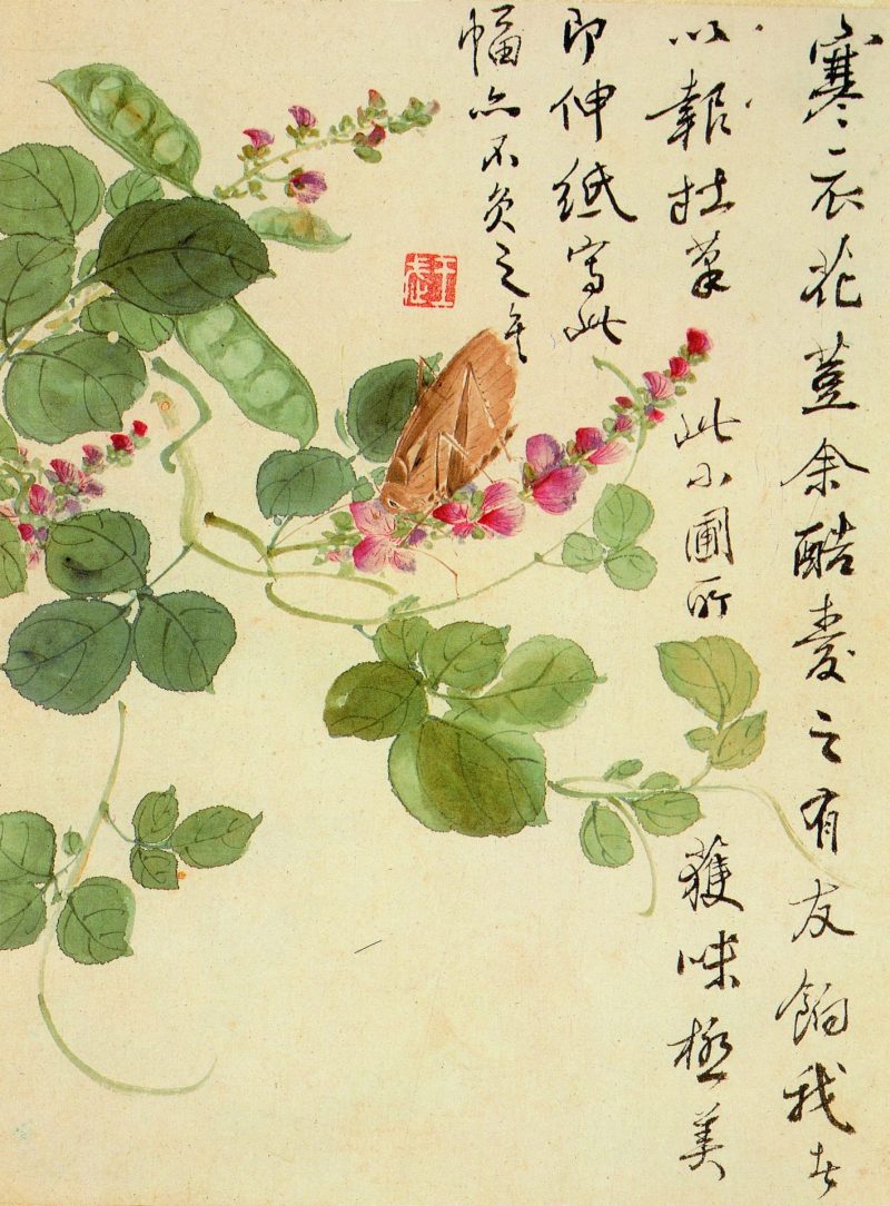 花卉册