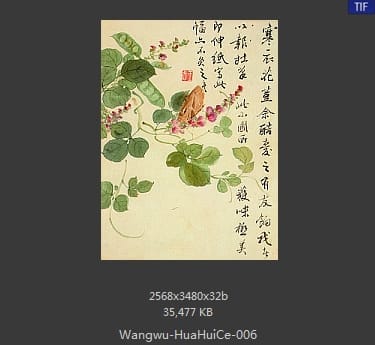 王武-花卉册