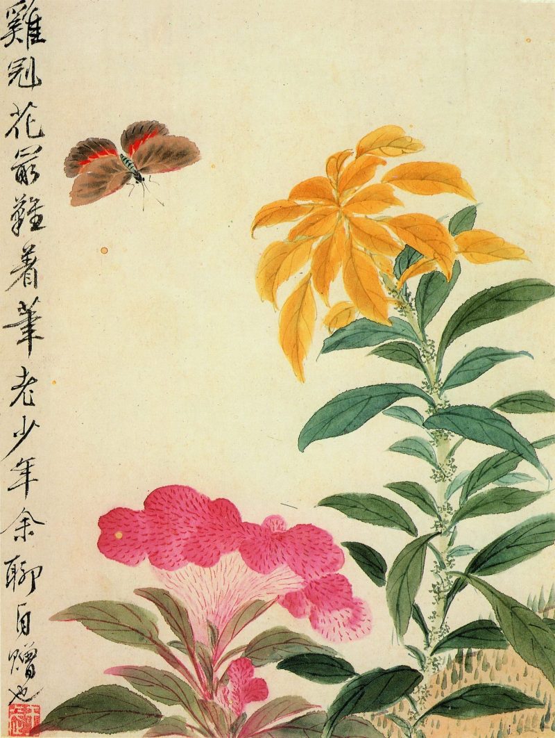 花卉册