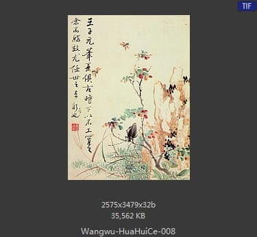 王武-花卉册