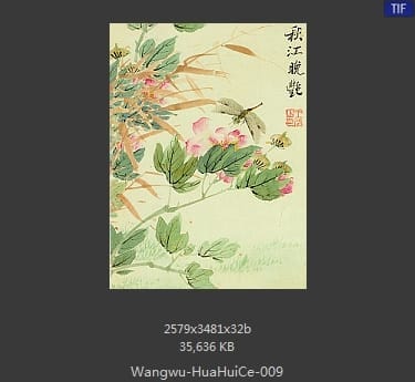 王武-花卉册