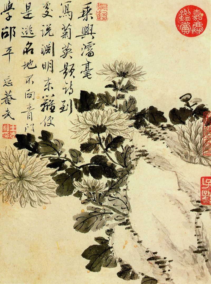 花卉册