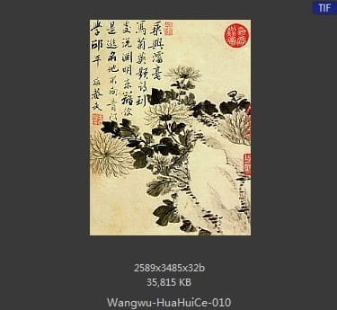 王武-花卉册