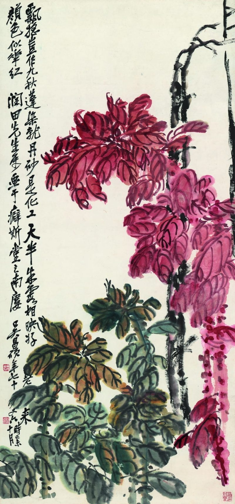 老少年轴