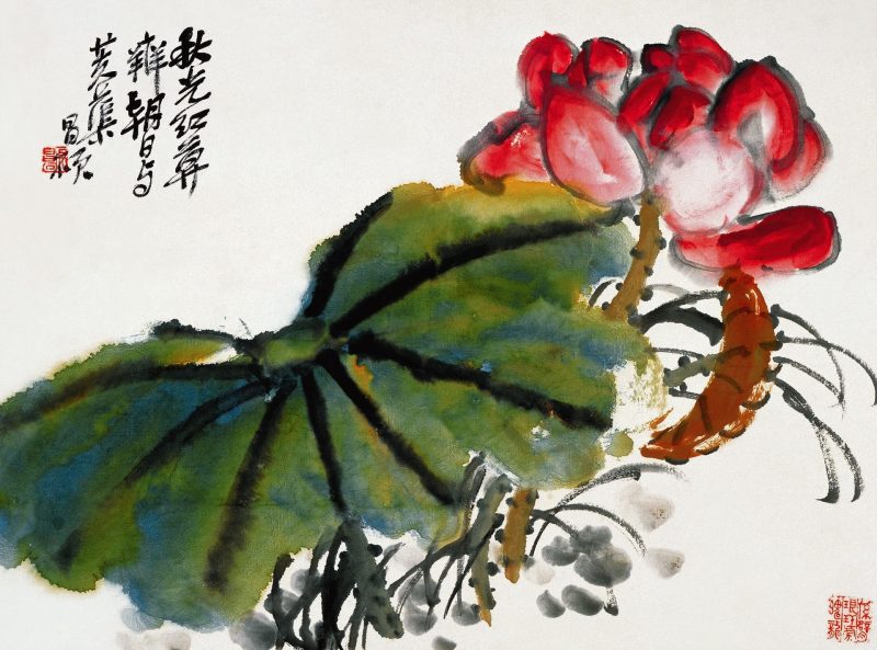 荷花图