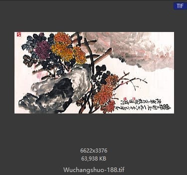 吴昌硕-墙跟菊花