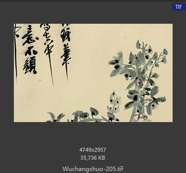 吴昌硕-花卉兰草