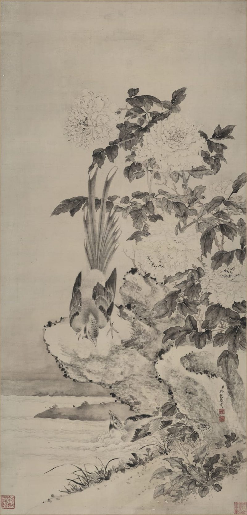 牡丹山鹧图