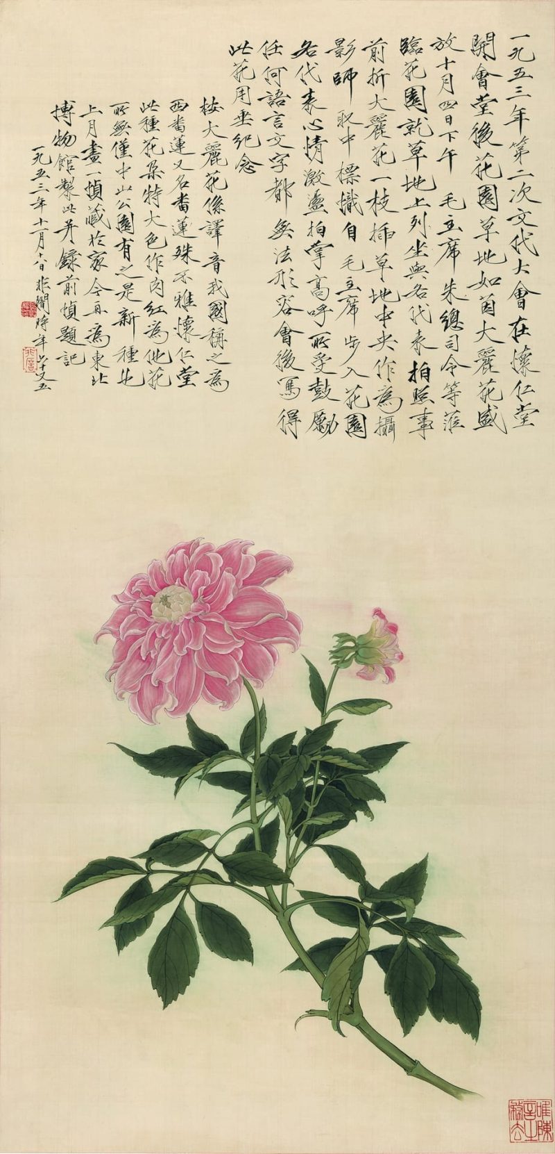 大丽花