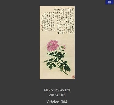 于非闇-大丽花
