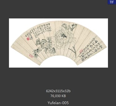 于非闇-扇面 牡丹