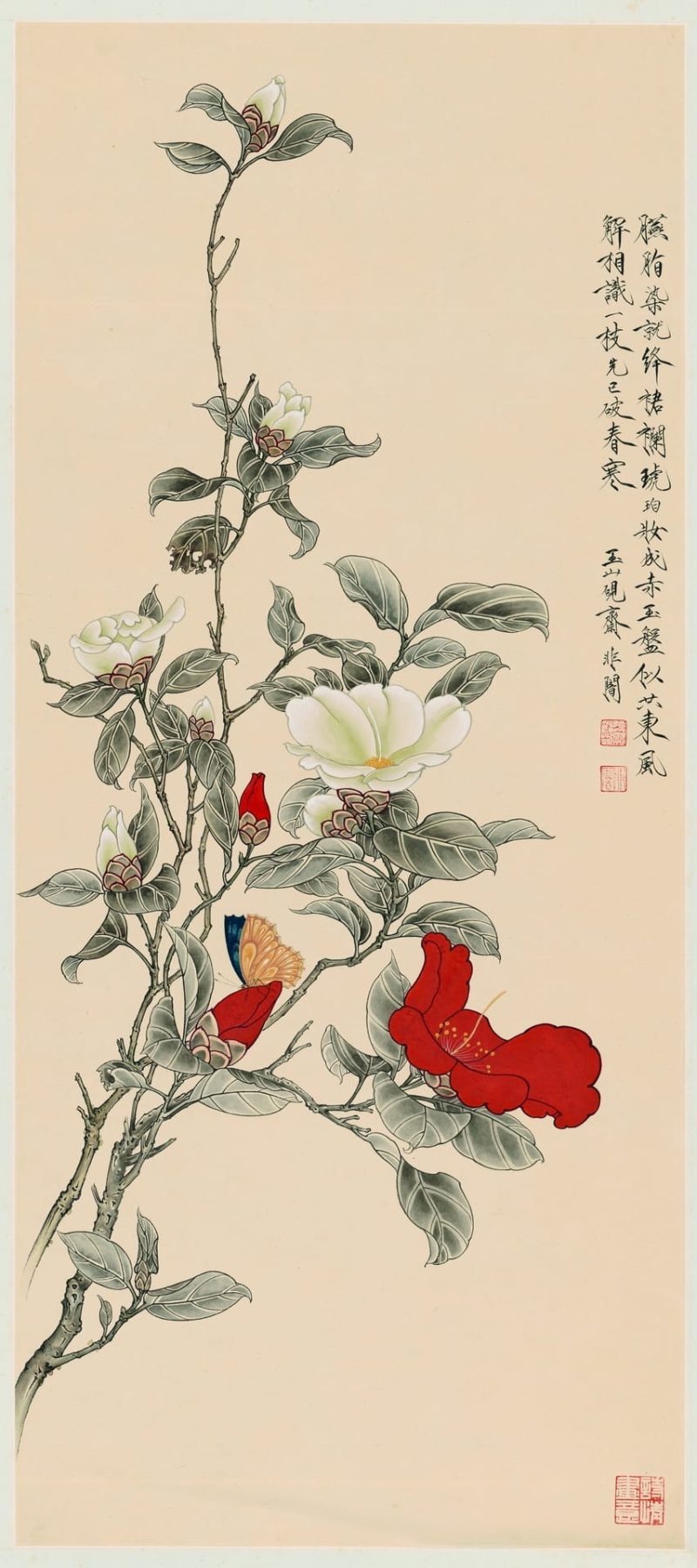 红白茶花轴