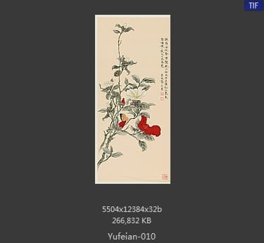 于非闇-红白茶花轴