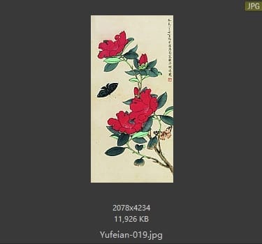 于非闇-滇茶蝴蝶