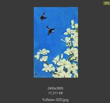 于非闇-玉兰双雀