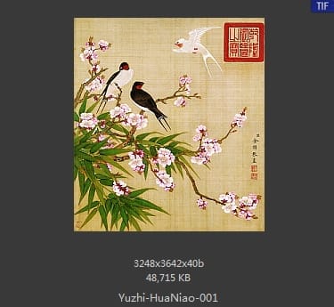 余稚-花鸟画十二开