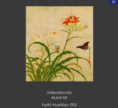 余稚-花鸟画十二开
