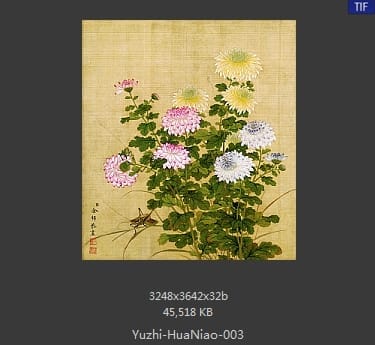 余稚-花鸟画十二开