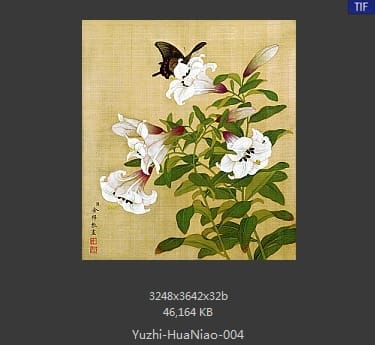 余稚-花鸟画十二开