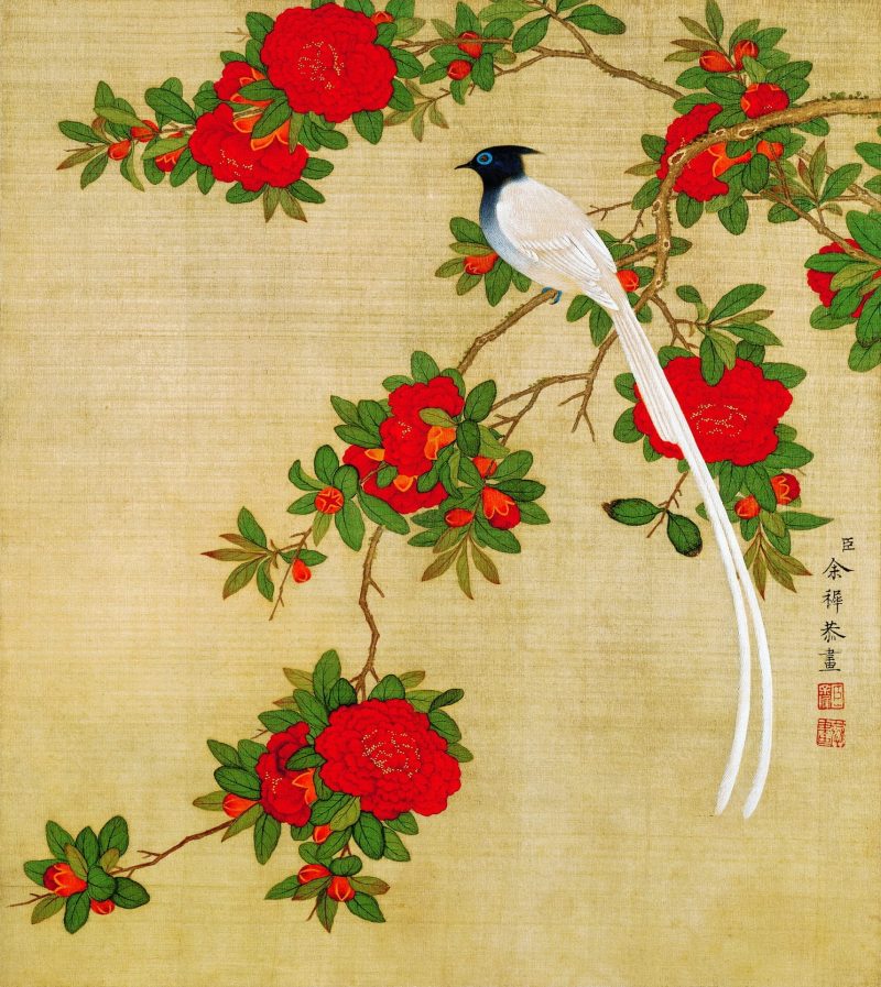 花鸟画十二开