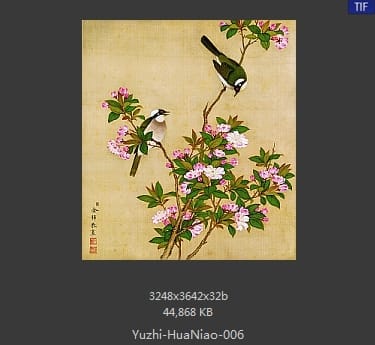 余稚-花鸟画十二开