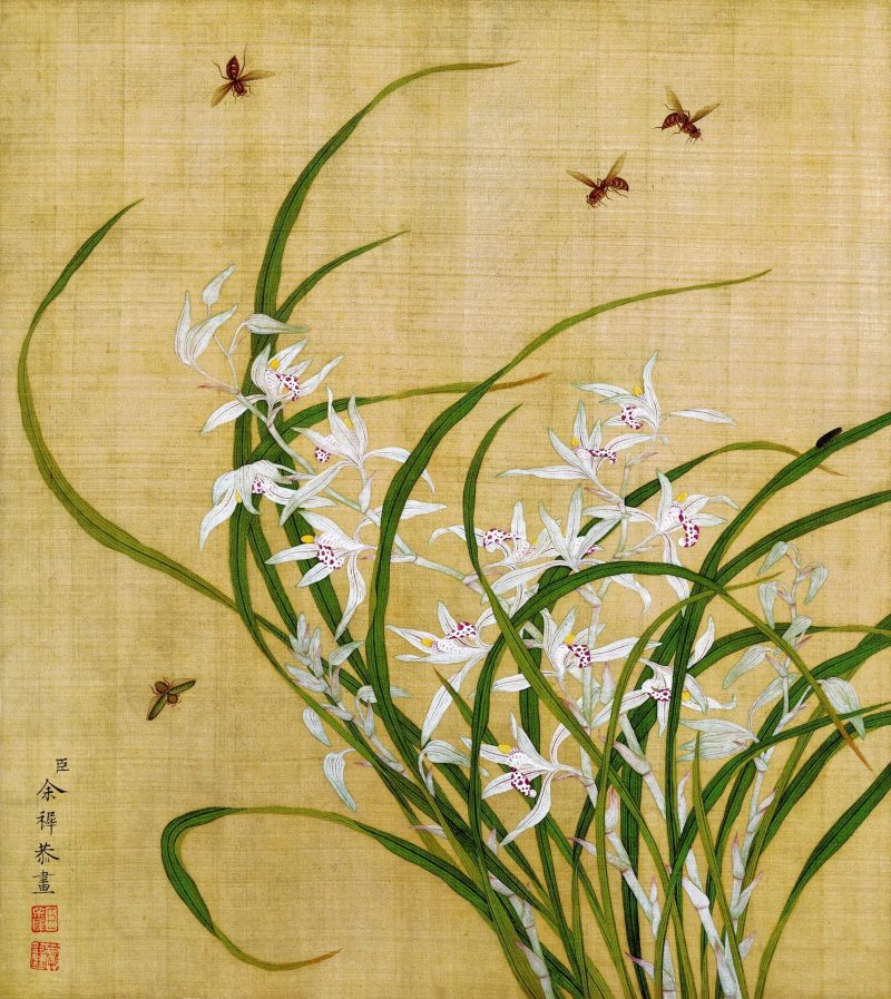 花鸟画十二开