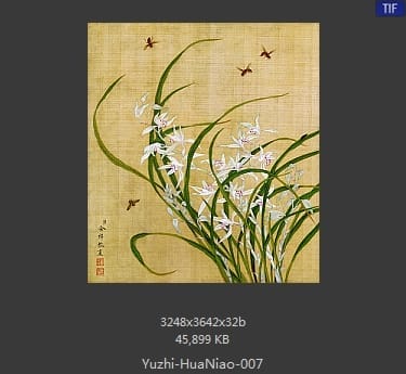 余稚-花鸟画十二开