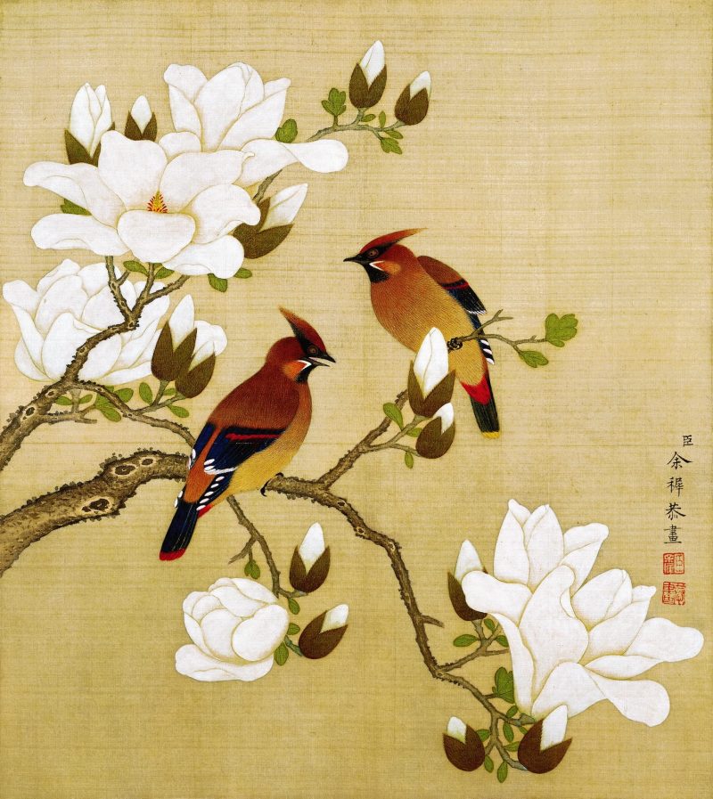 花鸟画十二开