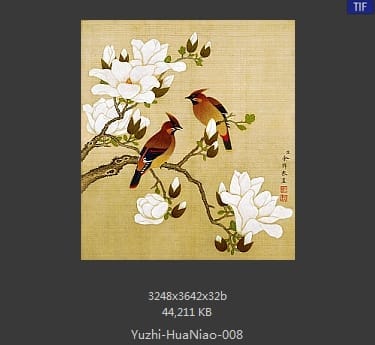 余稚-花鸟画十二开