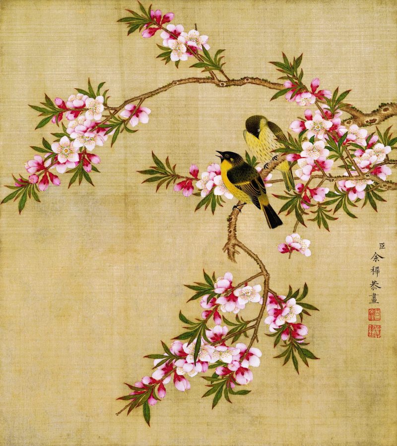 花鸟画十二开
