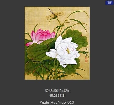 余稚-花鸟画十二开